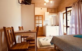 Apartament w Pieninach